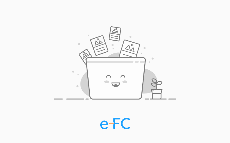 Portfolio of e-FC